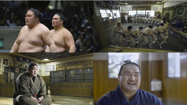 映画『相撲道〜サムライを継ぐ者たち〜』Blu-ray＆DVD発売決定。世界初相撲ドキュメンタリー映画